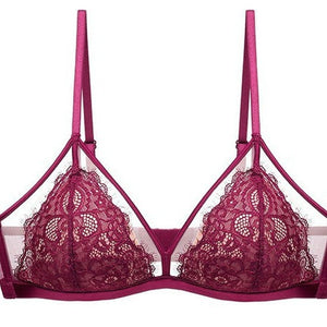 12c0eeb5-40b4-4565-b327-b1acad62f7a0