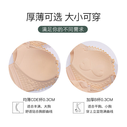 d999978e-8ade-4009-b502-c16ed859c5a4