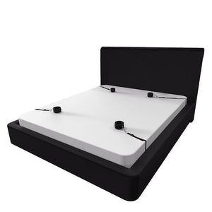 42d29c1d-3cbb-45d4-b155-d1a51d1b7829