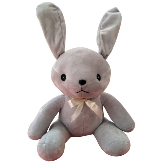 b9796243-b07c-4a76-81a1-2303258d6162